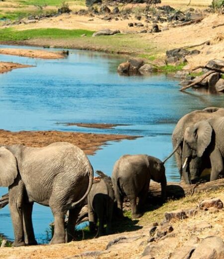 Saadani National Park