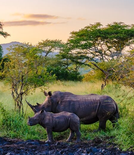 Ruaha National Park