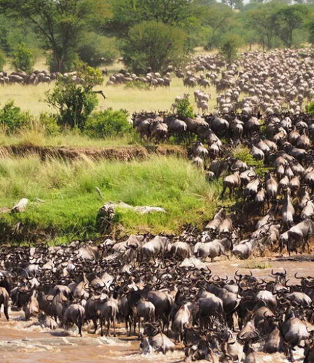 Serengeti National Park